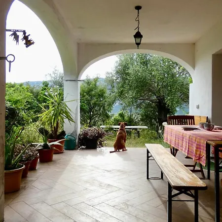 Flat For Nature Lovers Appartement