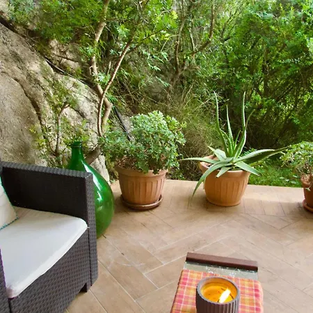 Flat For Nature Lovers *