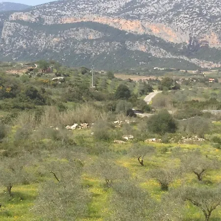 Flat For Nature Lovers